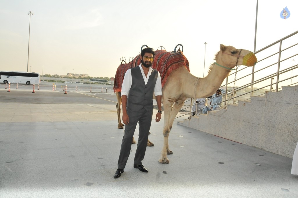 SIIMA 2017 Host Destination Meet Photos - 17 / 20 photos