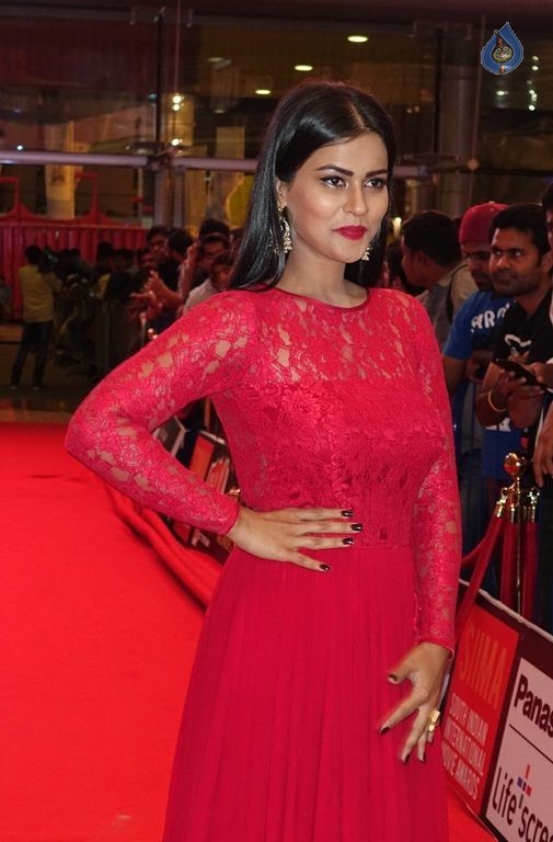 SIIMA Awards 2015 Day 2 Photos - 61 / 70 photos