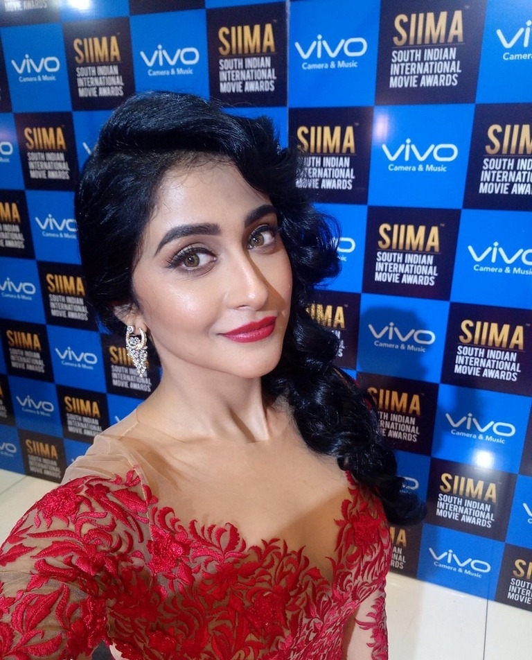 SIIMA Awards 2017 Gallery - 28 / 97 photos