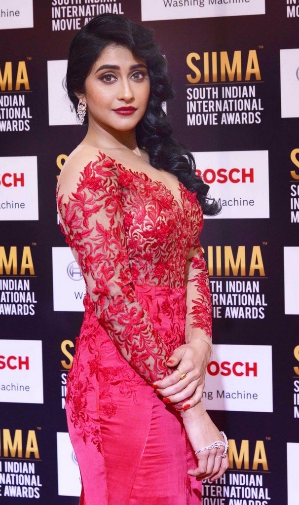 SIIMA Awards 2017 Gallery - 48 / 97 photos