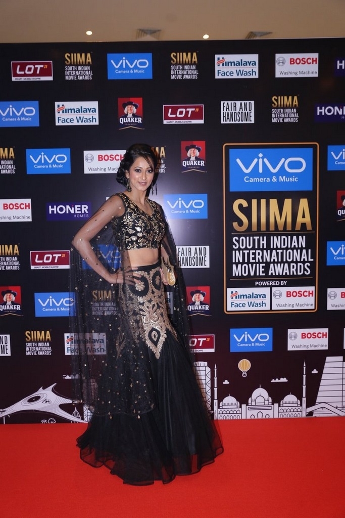 SIIMA Awards 2017 Gallery - 69 / 97 photos
