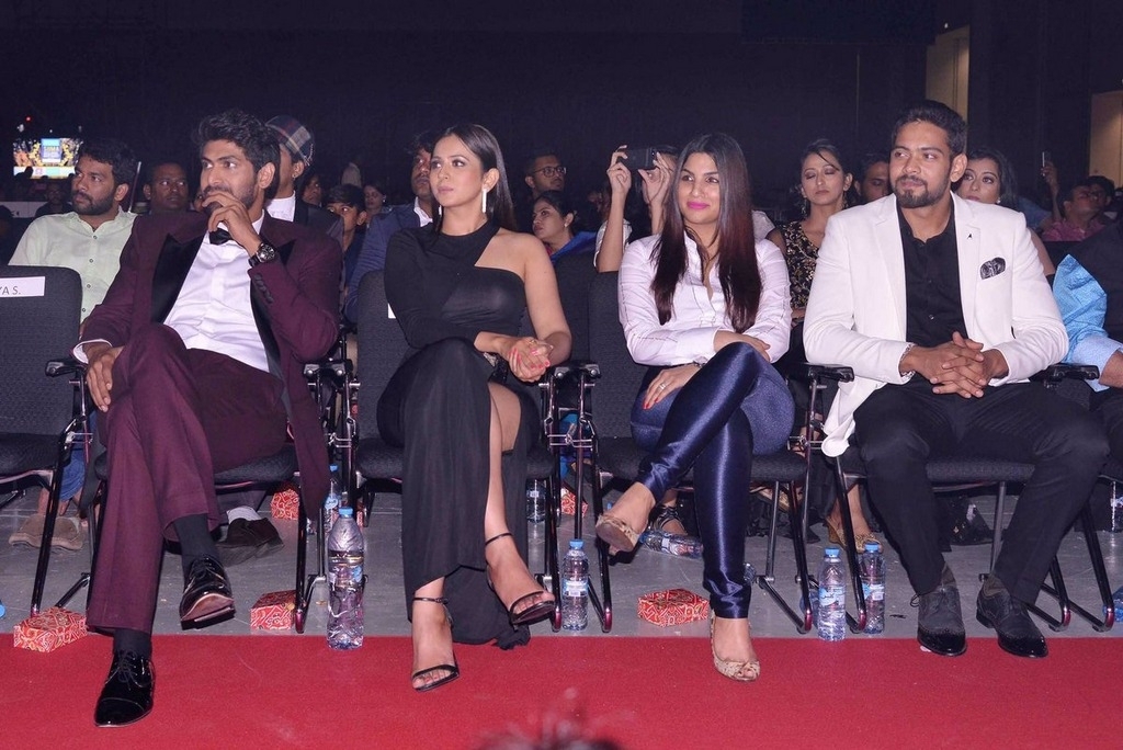 SIIMA Awards 2017 Gallery - 92 / 97 photos