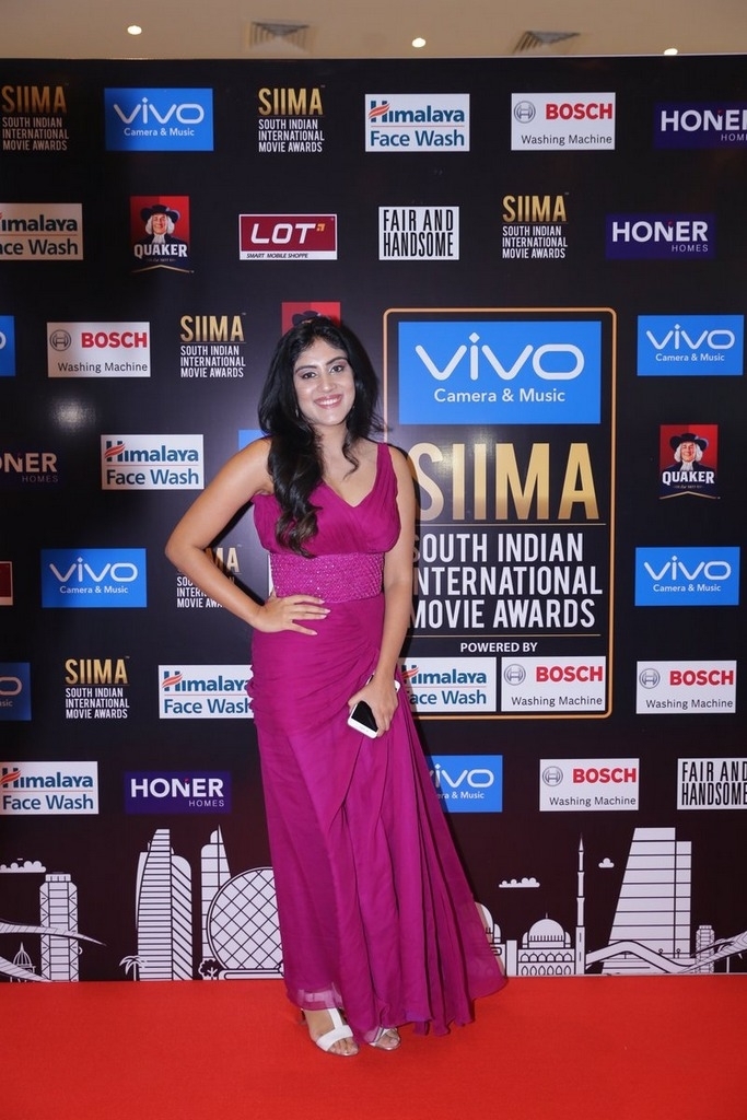 SIIMA Awards 2017 Gallery - 94 / 97 photos