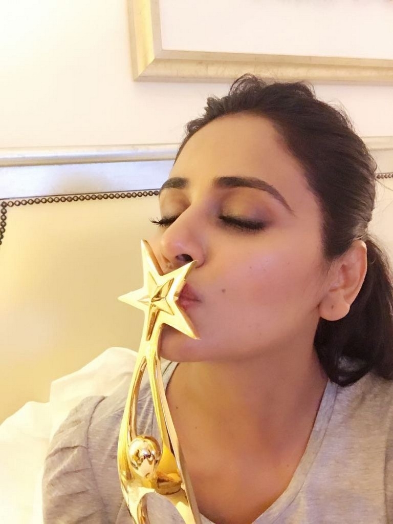 SIIMA Awards 2017 Gallery - 97 / 97 photos