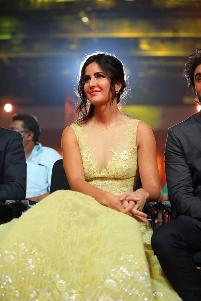 SIIMA Awards 2017 Pics - 1 / 36 photos