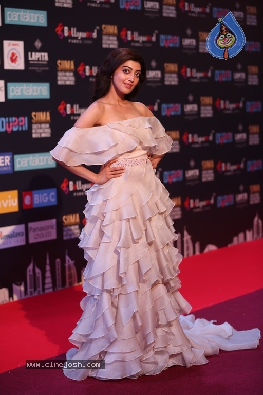 SIIMA Awards 2018 Day 2 Red Carpet Set 2 - 9 / 25 photos