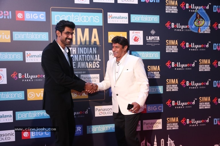 SIIMA Awards 2018 Day 2 Red Carpet Set 2 - 12 / 25 photos