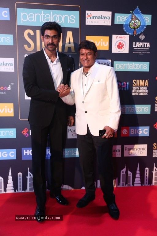 SIIMA Awards 2018 Day 2 Red Carpet Set 2 - 21 / 25 photos