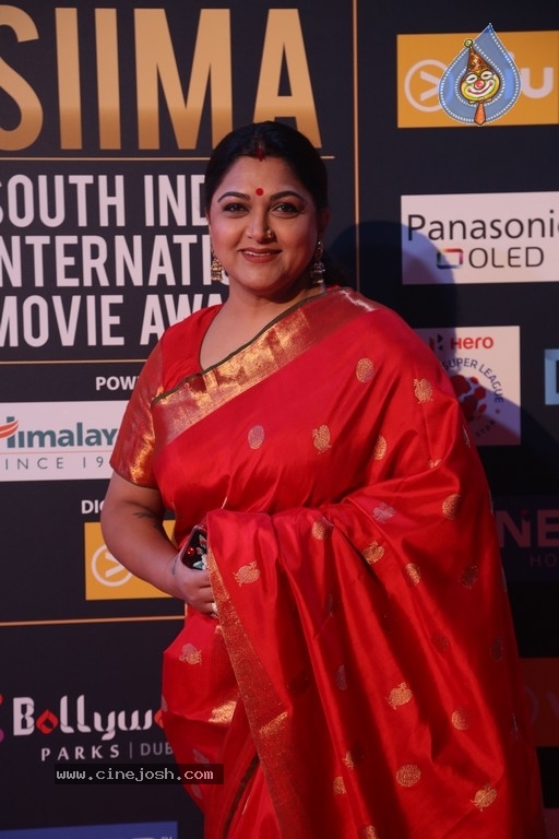SIIMA Awards 2018 Day 2 Red Carpet Set 2 - 22 / 25 photos