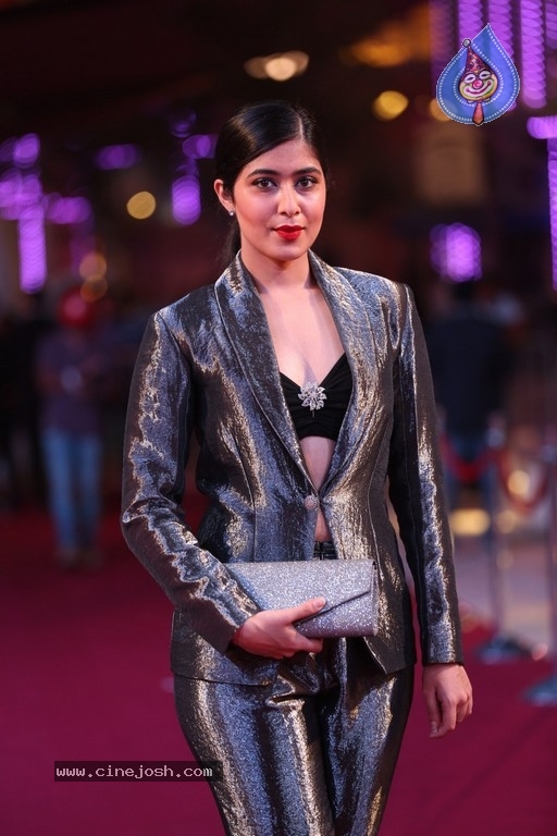 Siima Awards 2018 Red Carpet Day 01 - 21 / 102 photos