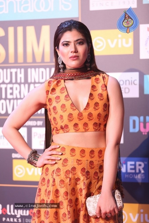 Siima Awards 2018 Red Carpet Day 01 - 47 / 102 photos