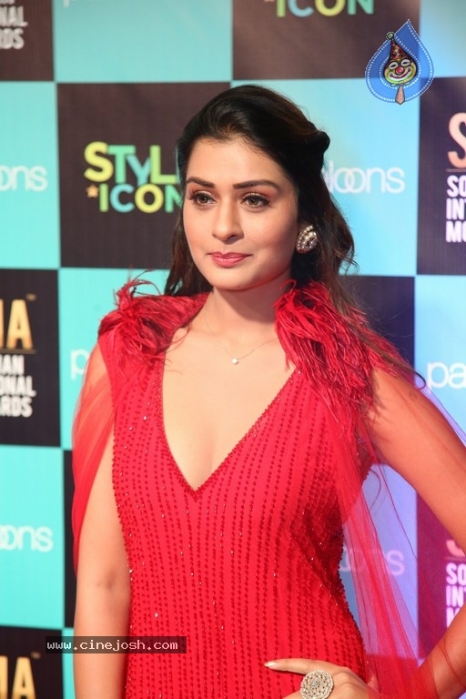 SIIMA Awards 2019 Photos Set 1 - 31 / 113 photos