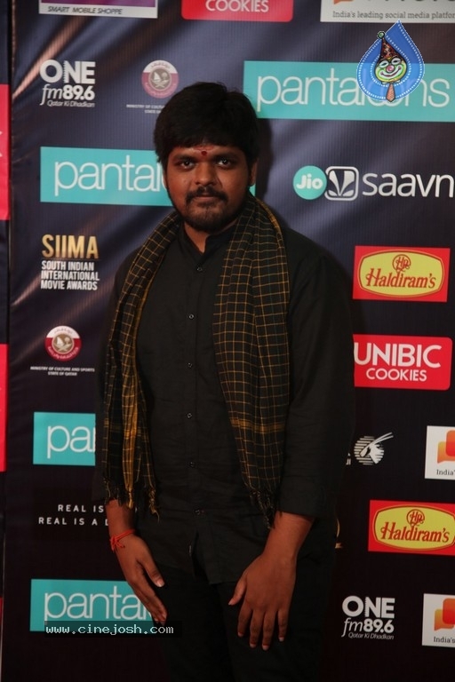 SIIMA Awards 2019 Photos Set 1 - 50 / 113 photos