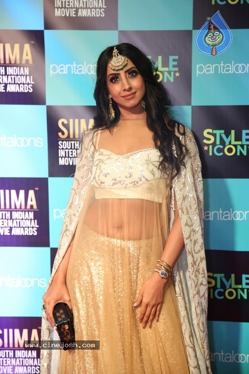 SIIMA Awards 2019 Photos Set 1 - 57 / 113 photos