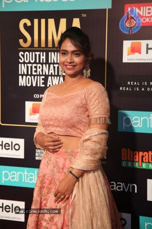 SIIMA Awards 2019 Photos Set 1 - 78 / 113 photos