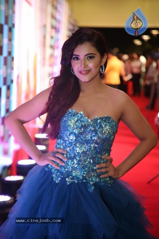 SIIMA Awards 2019 Photos Set 2 - 88 / 114 photos