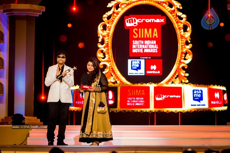 South Indian International Movie Awards 2014 - 20 / 255 photos