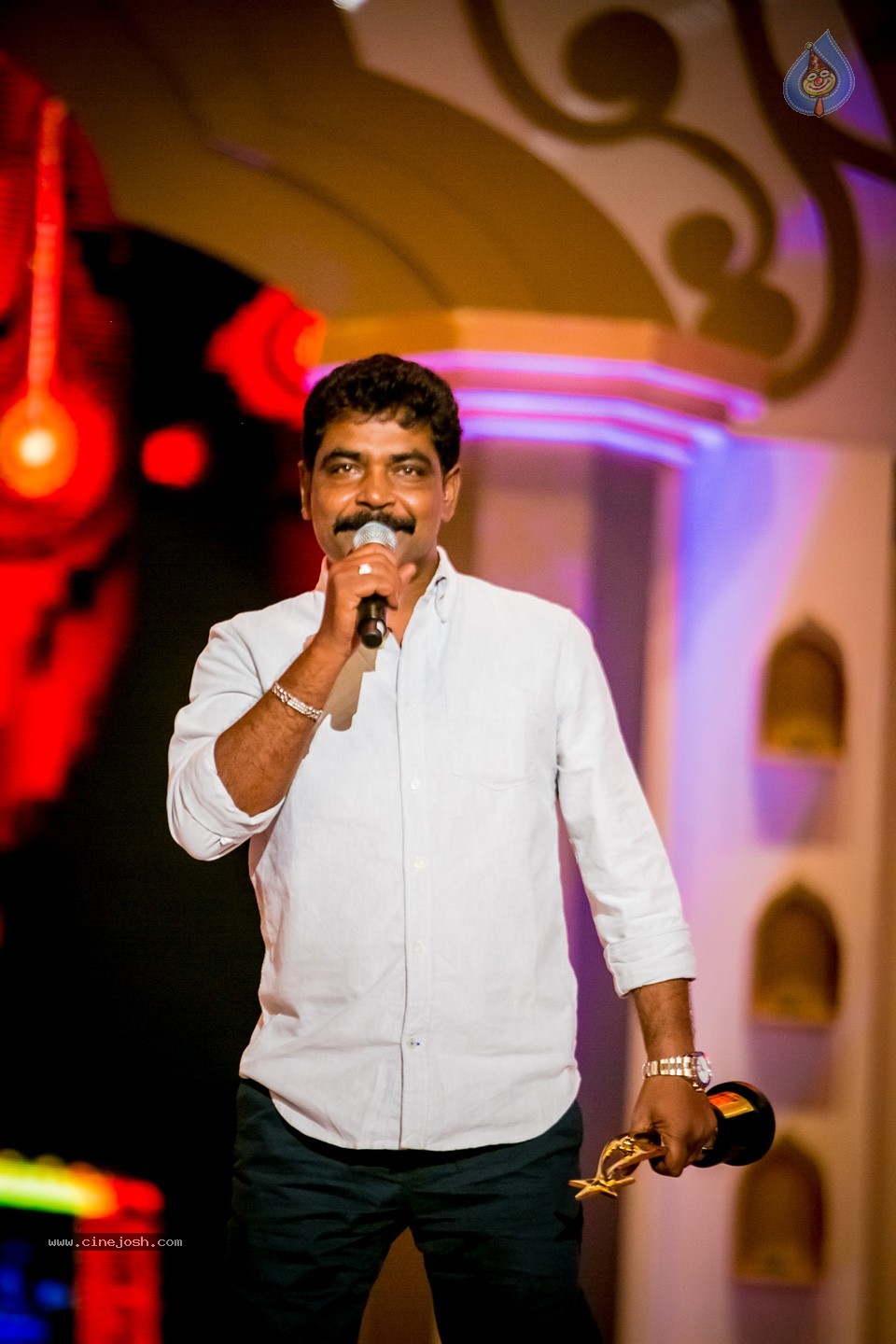 South Indian International Movie Awards 2014 - 32 / 255 photos