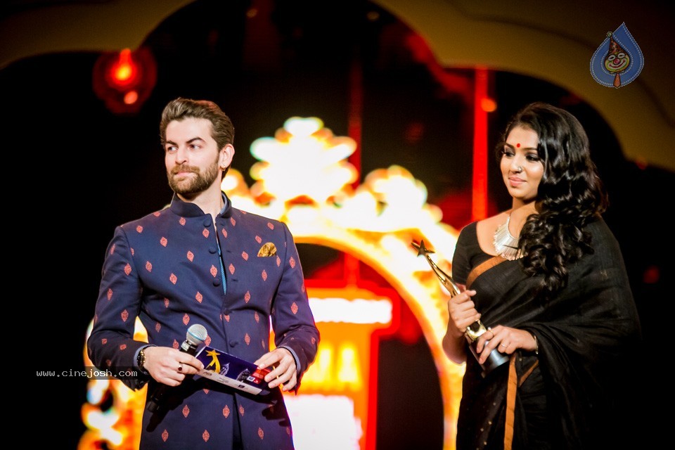 South Indian International Movie Awards 2014 - 46 / 255 photos