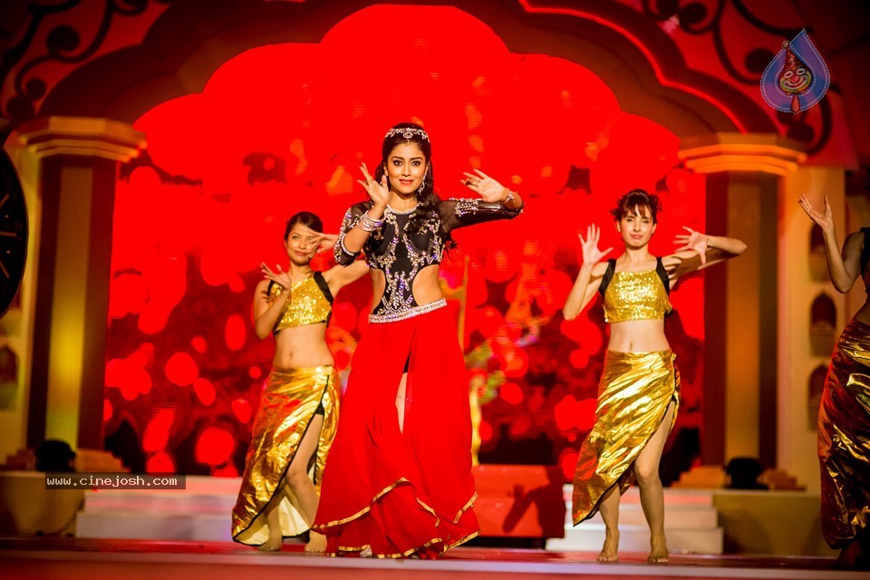 South Indian International Movie Awards 2014 - 54 / 255 photos