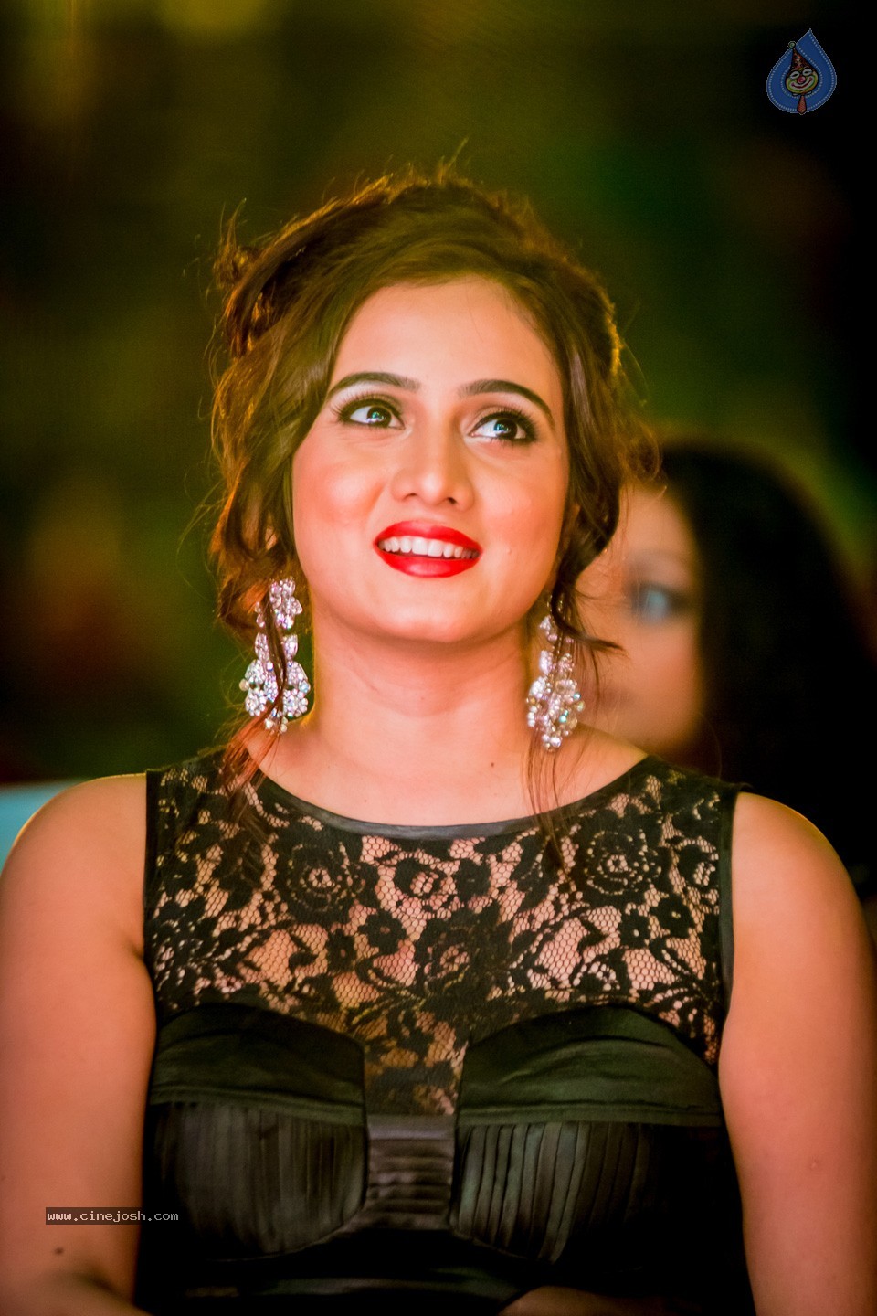 South Indian International Movie Awards 2014 - 82 / 255 photos