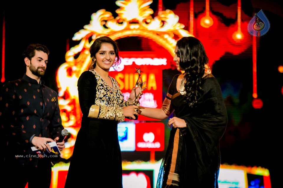 South Indian International Movie Awards 2014 - 86 / 255 photos