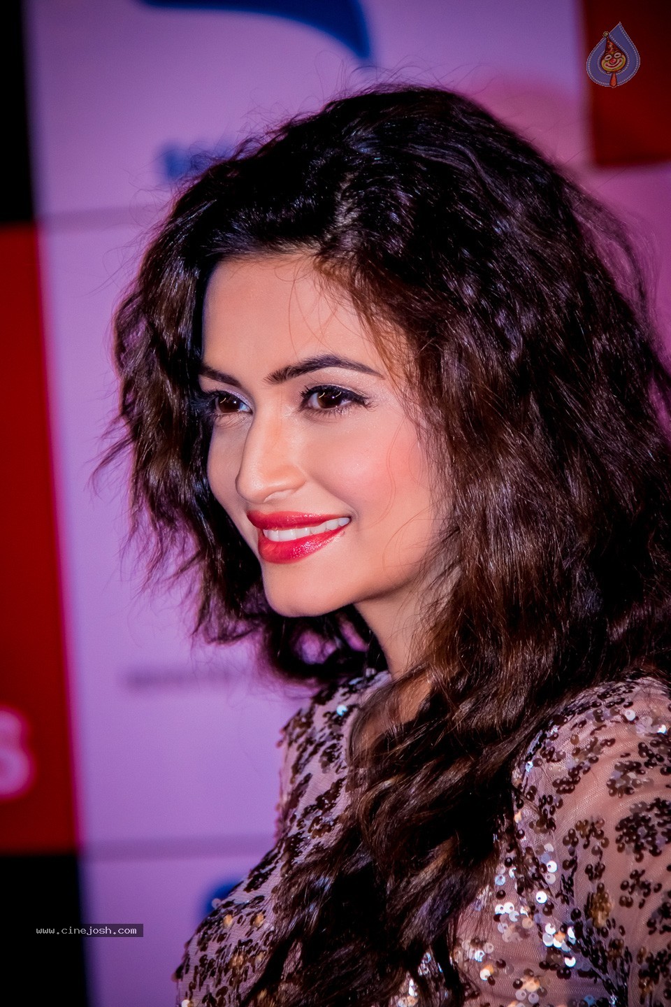 South Indian International Movie Awards 2014 - 103 / 255 photos