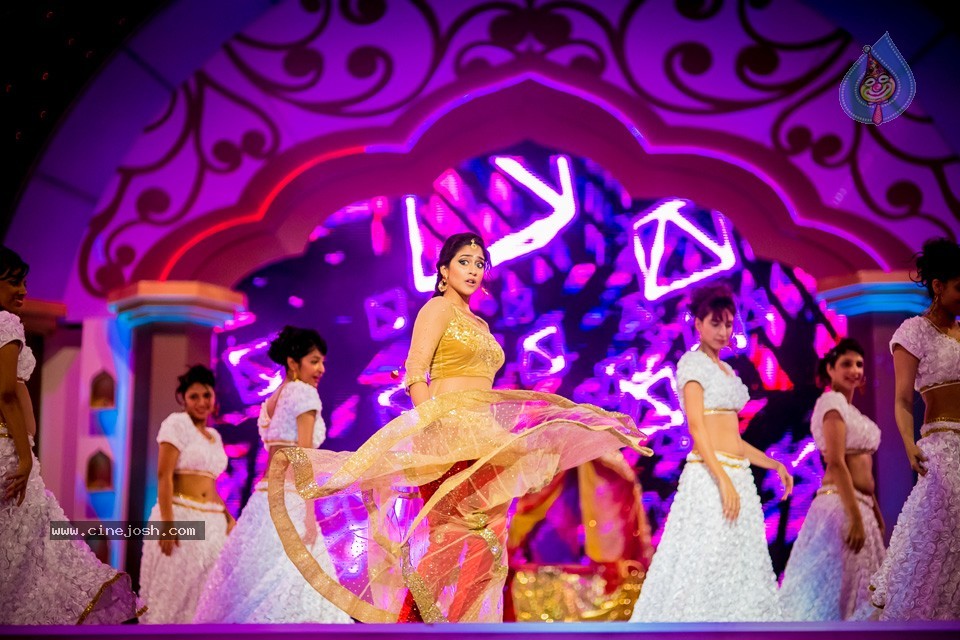 South Indian International Movie Awards 2014 - 116 / 255 photos