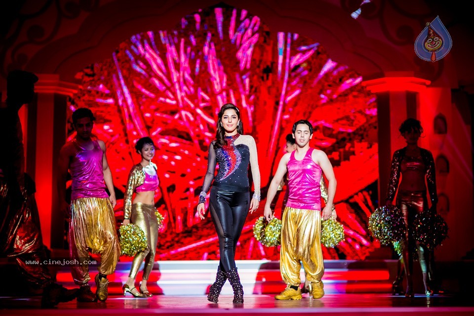 South Indian International Movie Awards 2014 - 146 / 255 photos