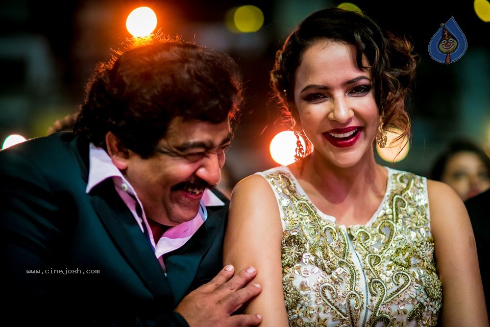 South Indian International Movie Awards 2014 - 149 / 255 photos