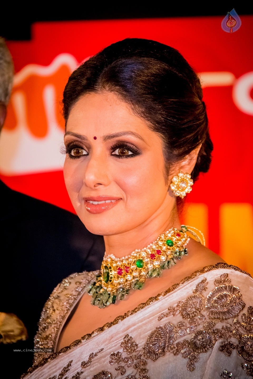 South Indian International Movie Awards 2014 - 171 / 255 photos