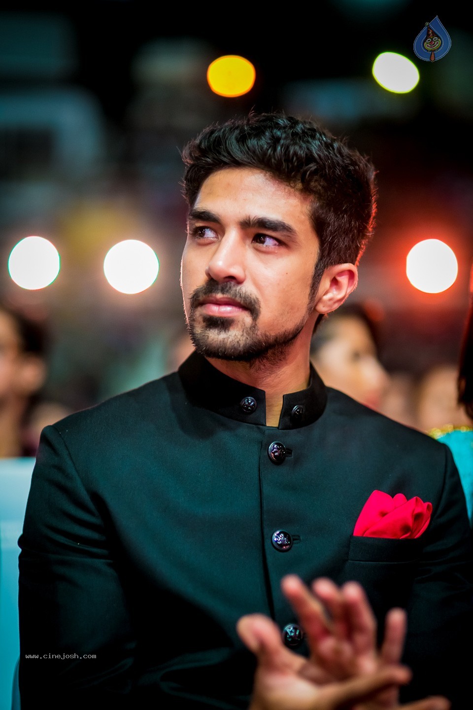 South Indian International Movie Awards 2014 - 176 / 255 photos