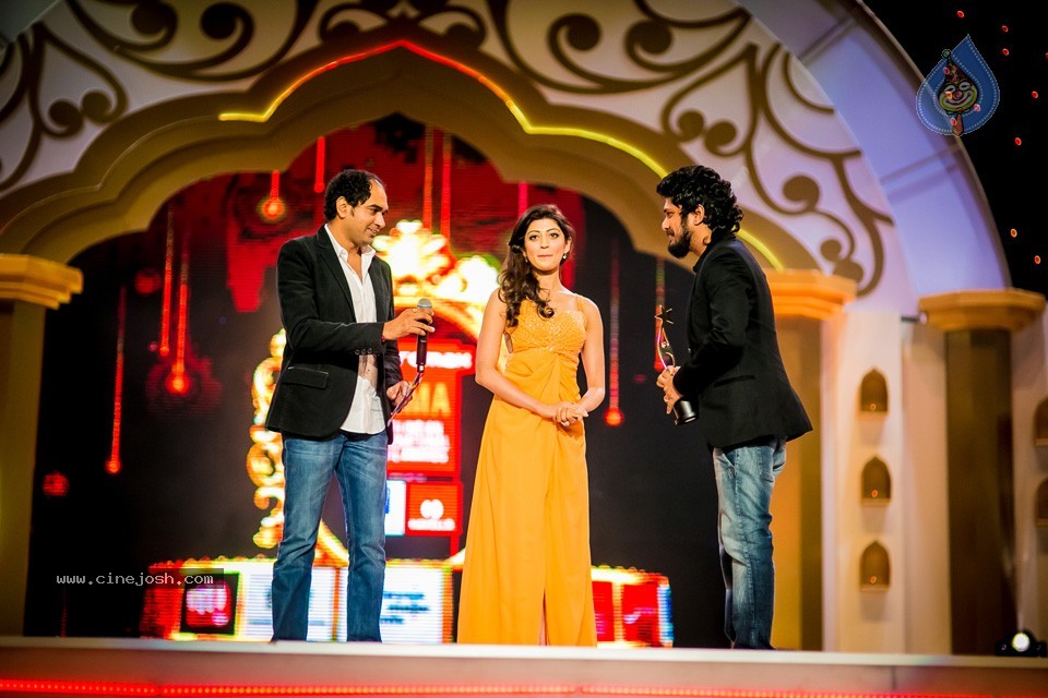 South Indian International Movie Awards 2014 - 207 / 255 photos