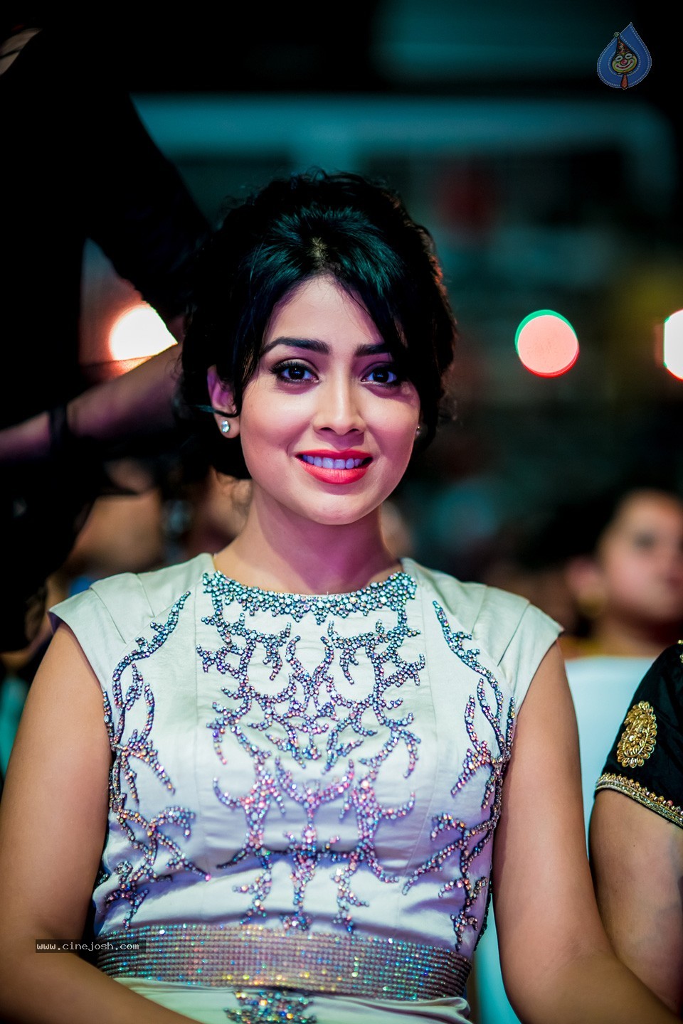 South Indian International Movie Awards 2014 - 212 / 255 photos