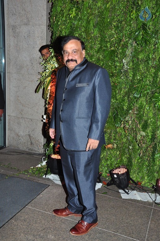 Sreeja and Kalyan Wedding Reception 4 - 28 / 102 photos