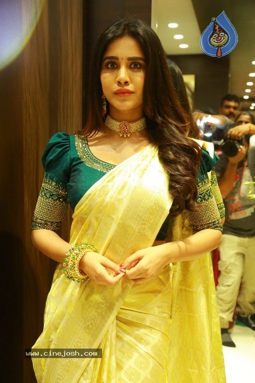 Sri Kanchi Alankar Silks Grand Launch - 8 / 28 photos