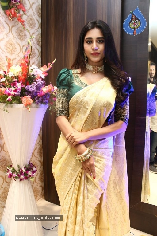 Sri Kanchi Alankar Silks Grand Launch - 13 / 28 photos