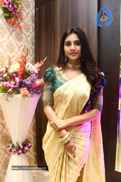 Sri Kanchi Alankar Silks Grand Launch - 17 / 28 photos