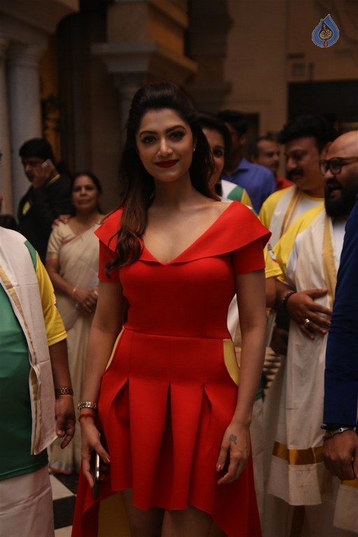 Stars at CBL 2016 Season 1 Launch - 23 / 32 photos