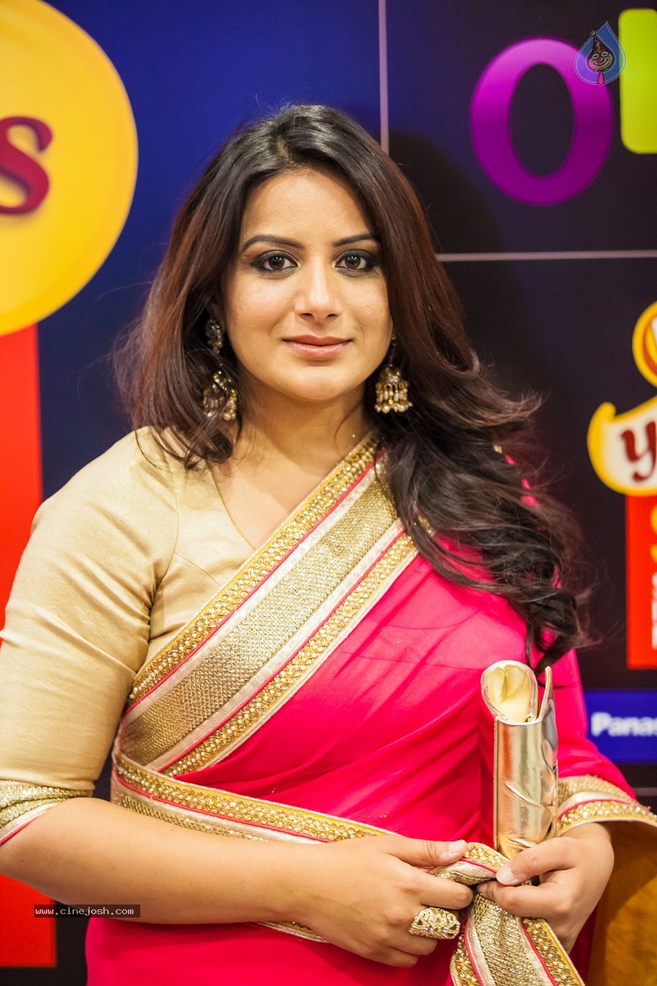 Stars at SIIMA 2013 Awards 02 - 31 / 204 photos