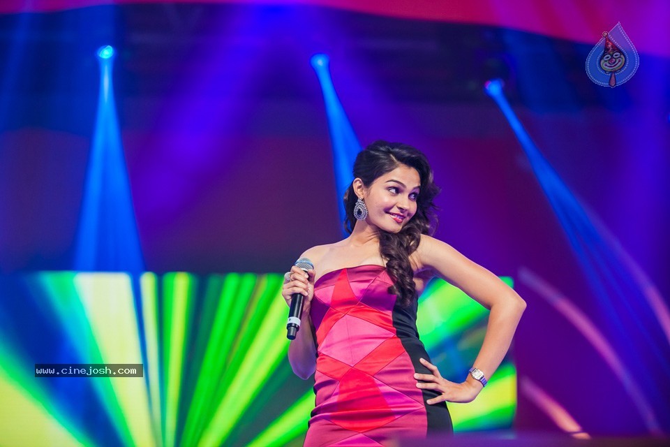 Stars at SIIMA 2013 Awards 02 - 38 / 204 photos