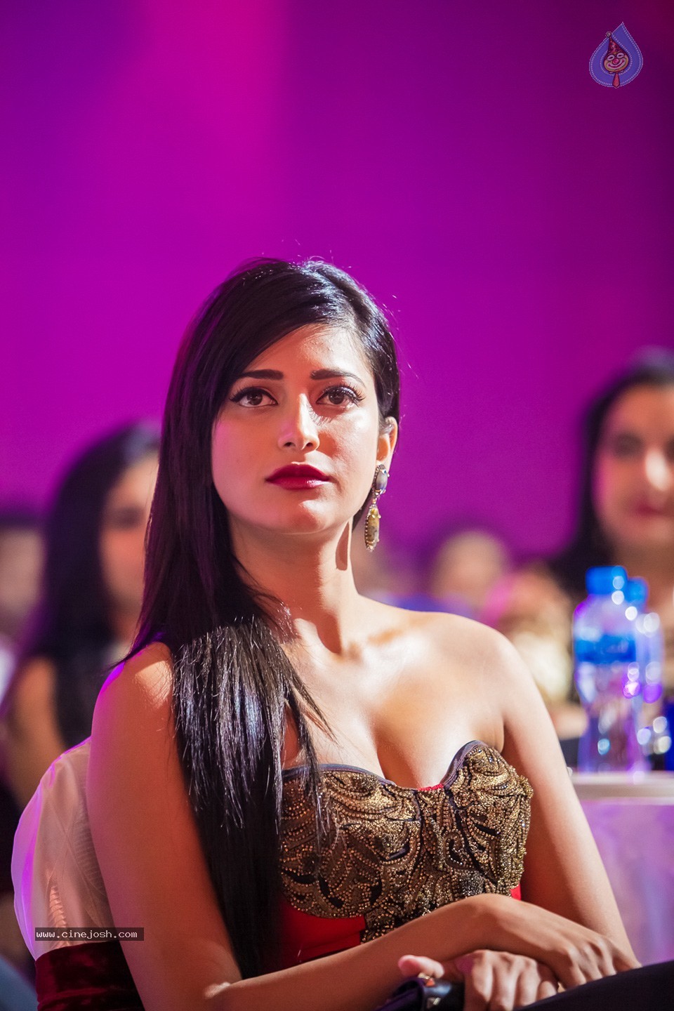 Stars at SIIMA 2013 Awards 02 - 41 / 204 photos