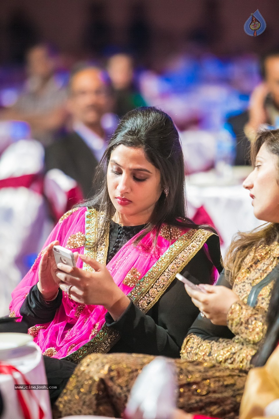 Stars at SIIMA 2013 Awards 02 - 49 / 204 photos