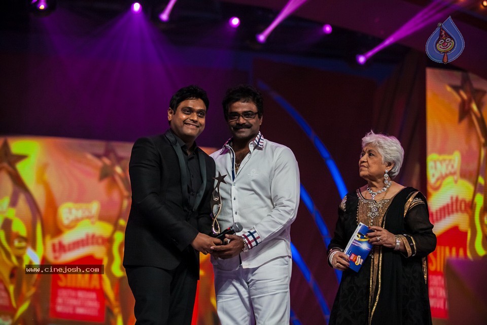 Stars at SIIMA 2013 Awards 02 - 53 / 204 photos