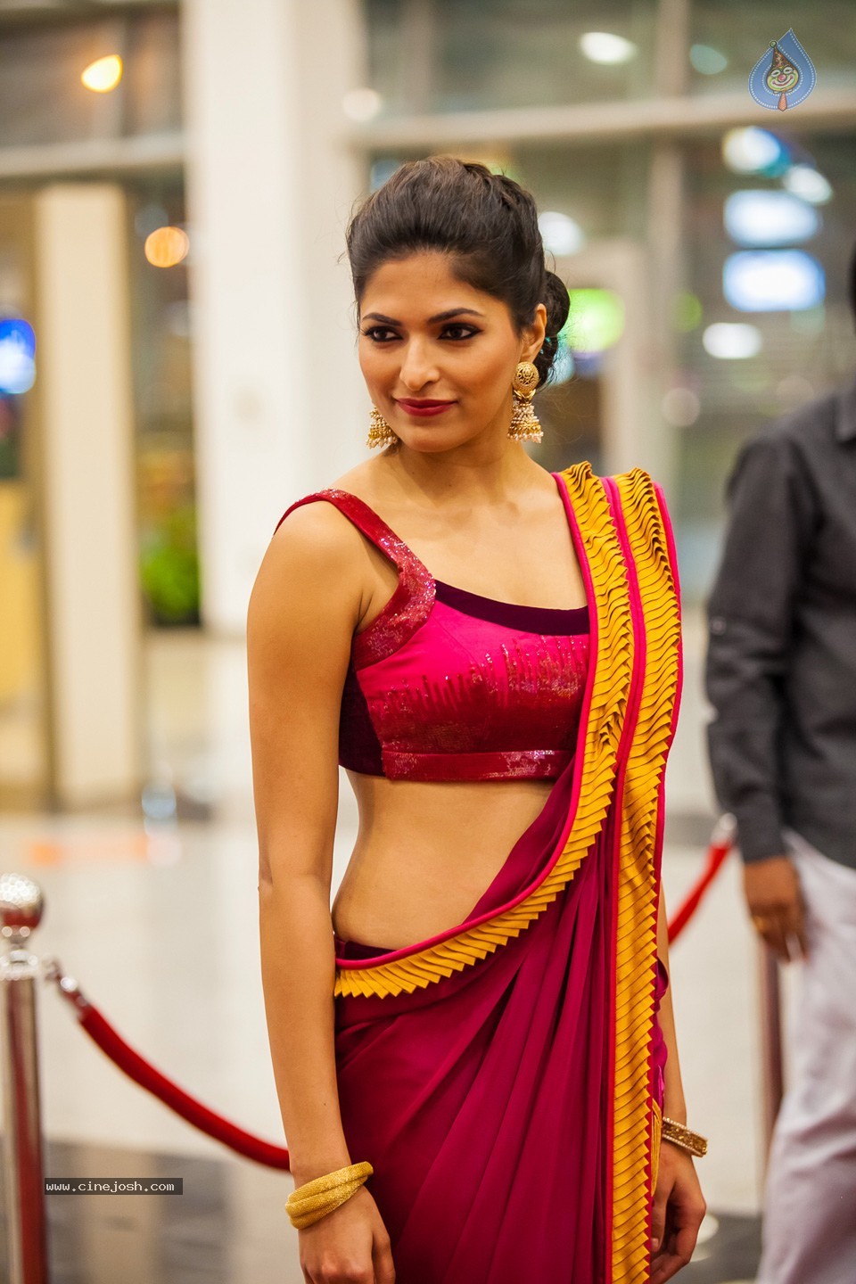 Stars at SIIMA 2013 Awards 02 - 56 / 204 photos