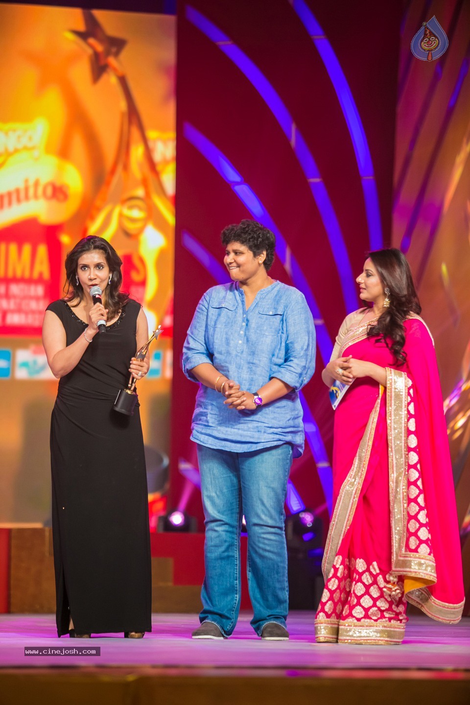 Stars at SIIMA 2013 Awards 02 - 57 / 204 photos