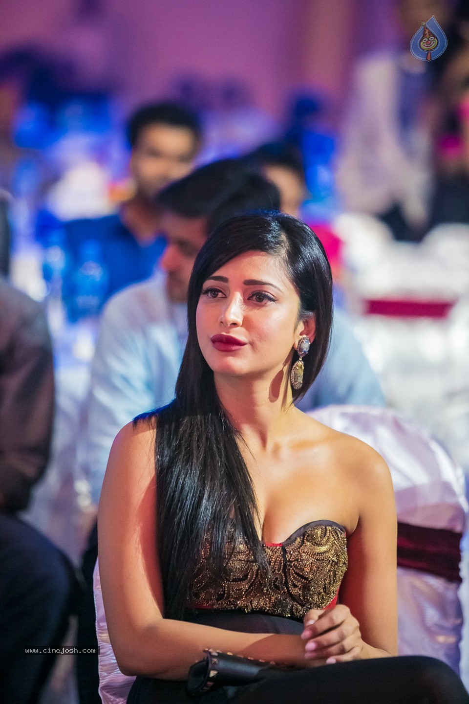 Stars at SIIMA 2013 Awards 02 - 59 / 204 photos