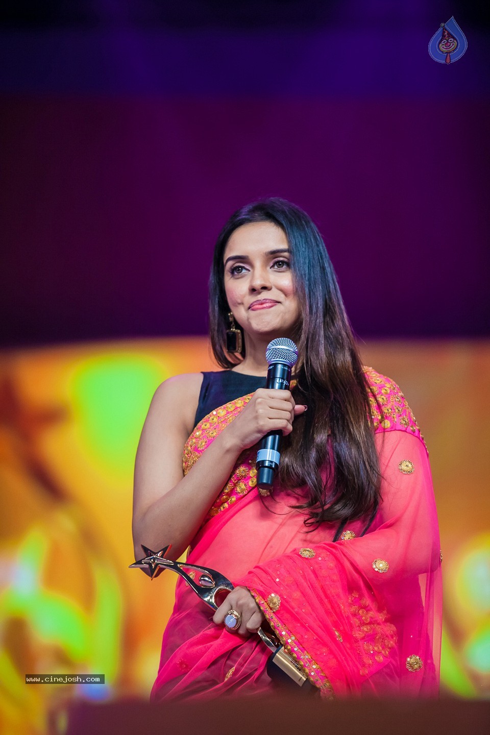Stars at SIIMA 2013 Awards 02 - 62 / 204 photos