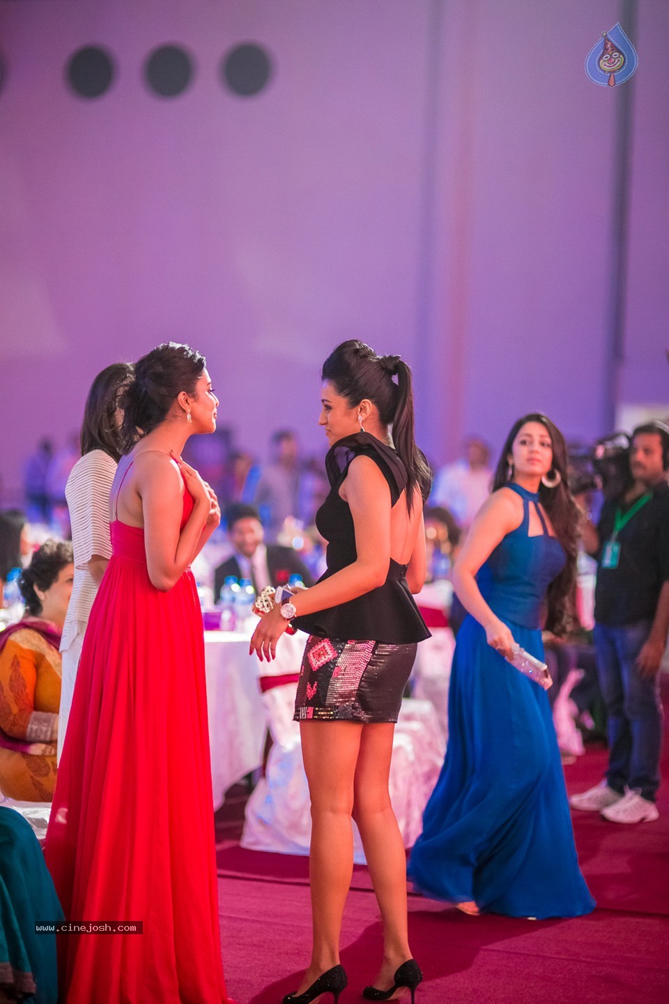 Stars at SIIMA 2013 Awards 02 - 63 / 204 photos