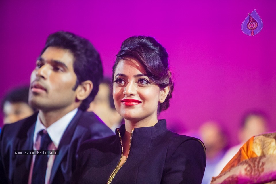 Stars at SIIMA 2013 Awards 02 - 86 / 204 photos